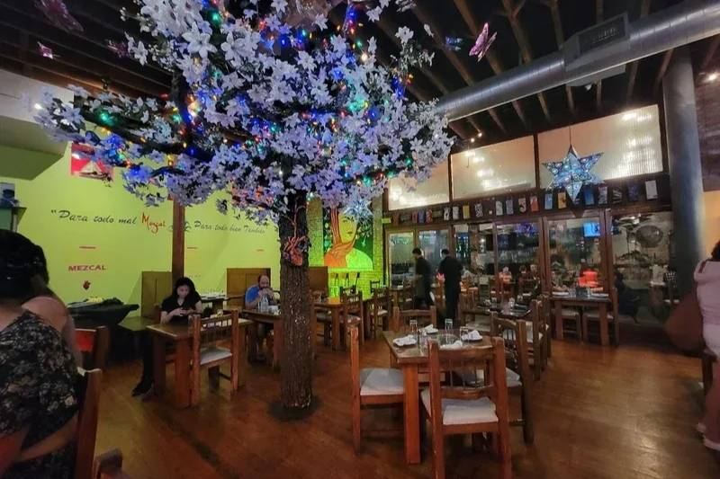 Mezcal Restaurant restaurant in San Jose, California